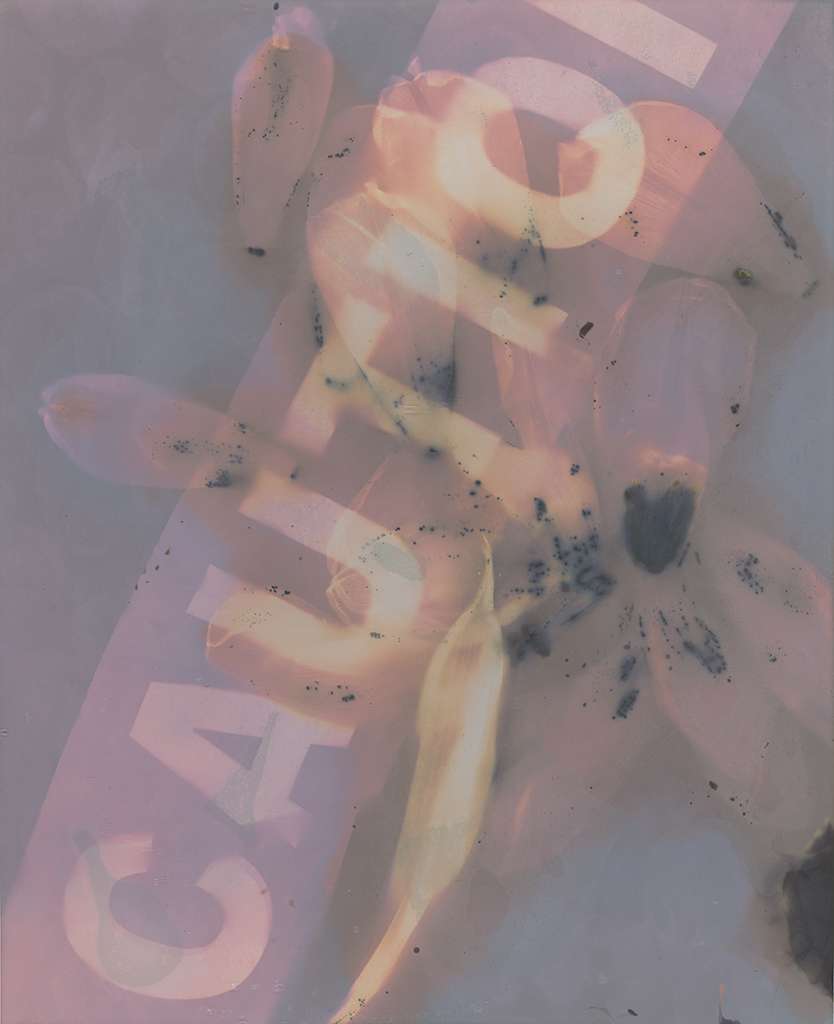 Caution Lumen 2023, Bonnie Baker