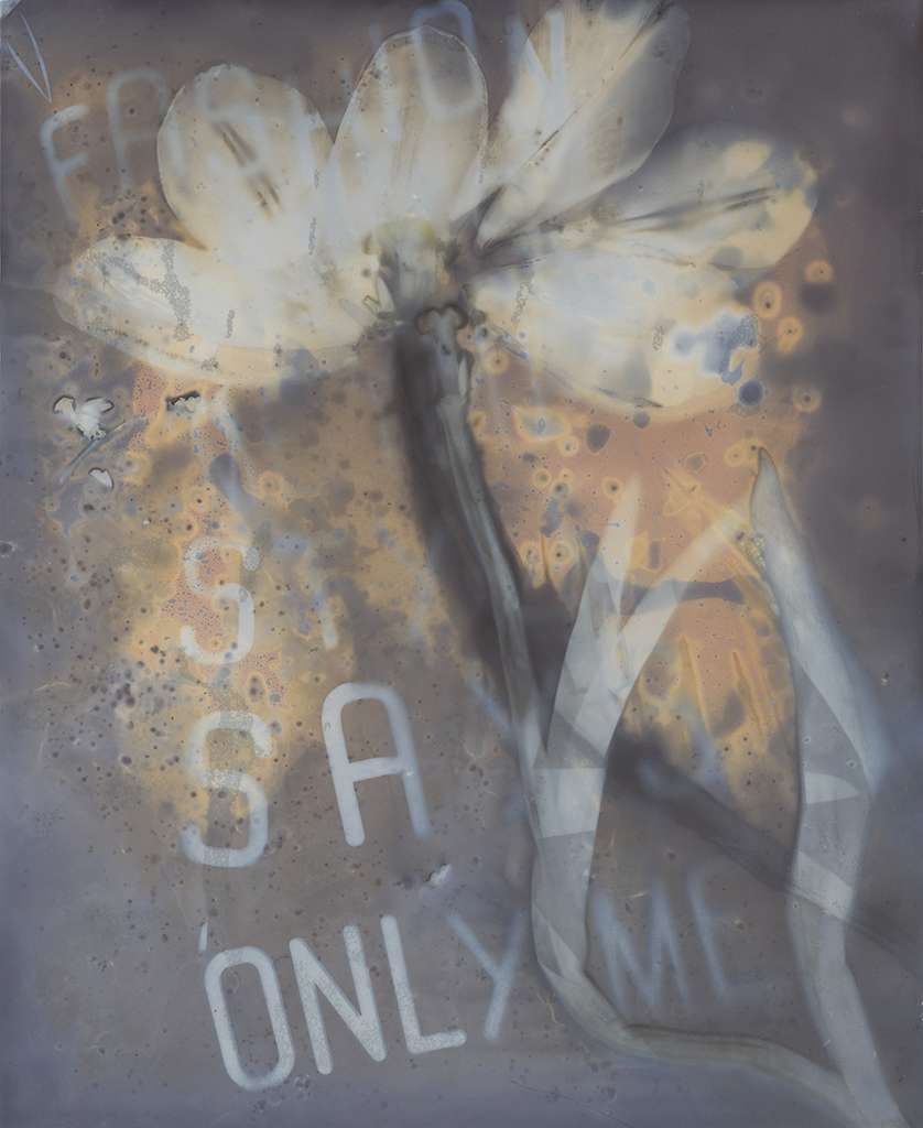 Only Me Lumen 2023, Bonnie Baker