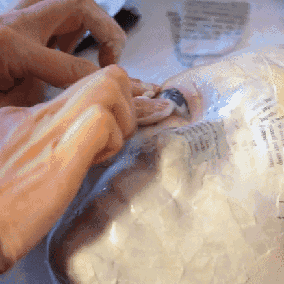 Miya Turnbull's hands working on a mask