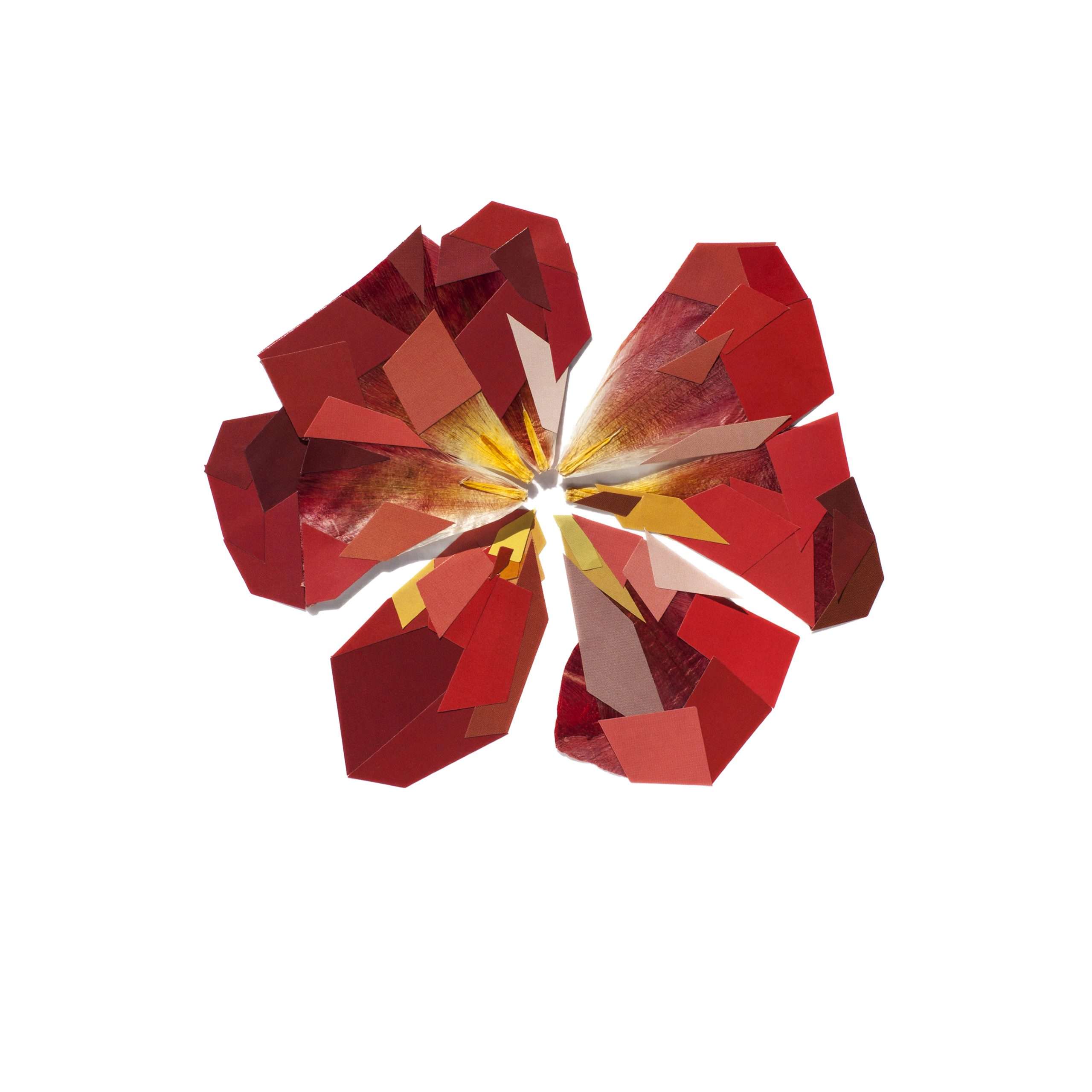 07.JenniferLong.MendedLeaves.EmbeddedHistories