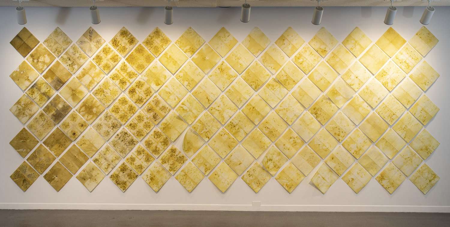 10.AnnaHeywood-Jones.MarigoldMarkingMatrescence.EmbeddedHistories